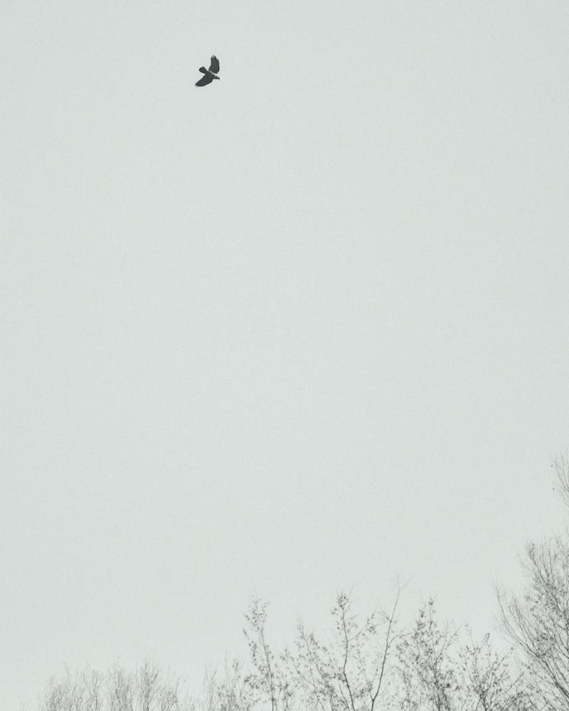 Talent To Trend Paris